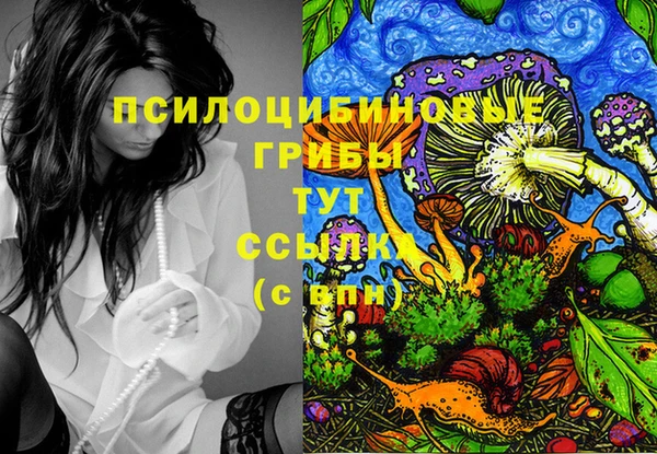 крисы Абаза