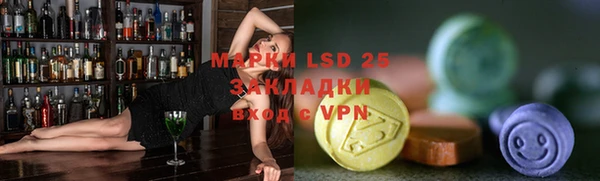 крисы Абаза