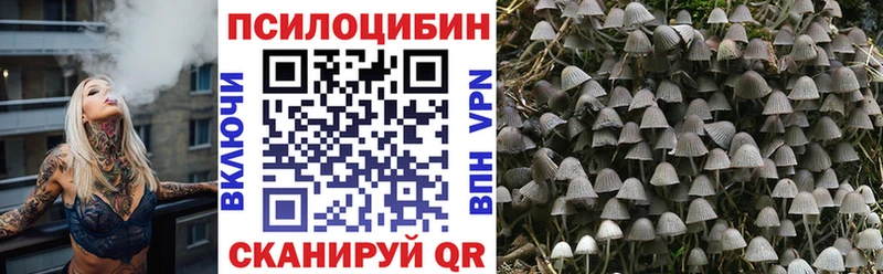 наркота Богородицк Галлюциногенные грибы мицелий