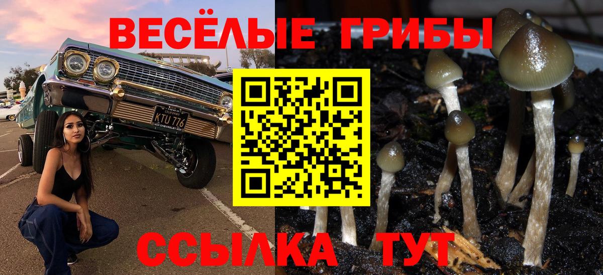 Псилоцибиновые грибы ЛСД Богородицк