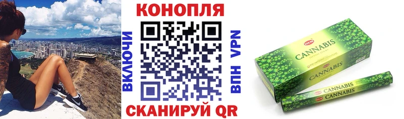 Конопля семена  Богородицк 